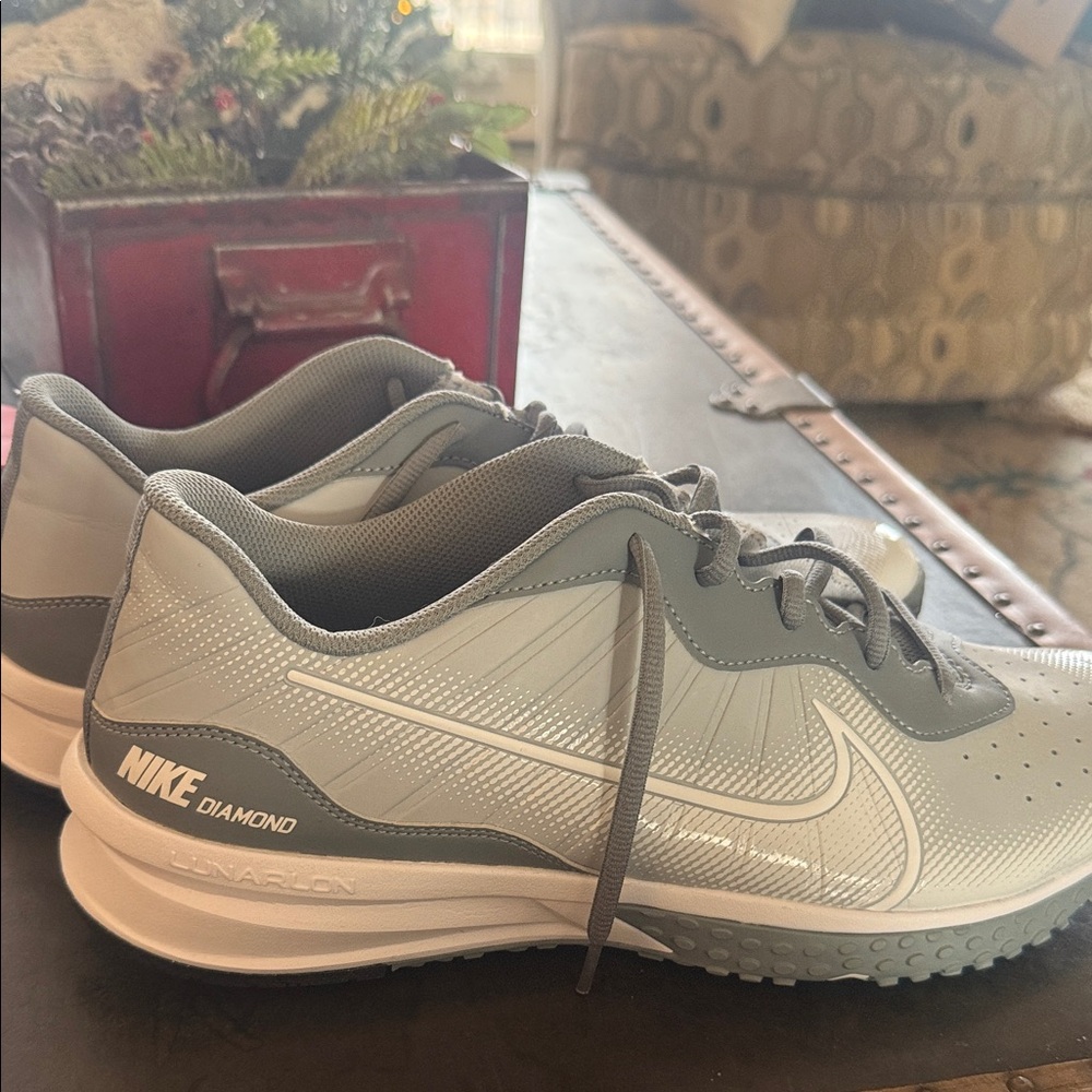 Nike Men's Silver and Gray Athletic Shoes